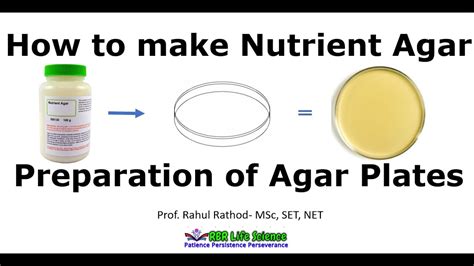 how to prepare agar plates